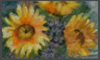 sunflower.jpg